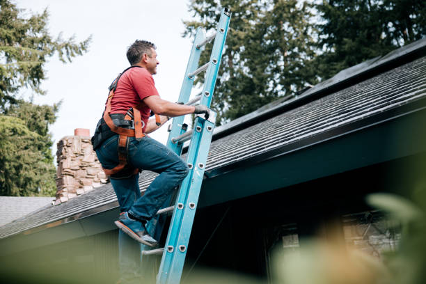 Best Roof Ventilation Installation  in Sandia Heights, NM